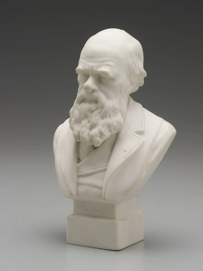 charles darwin buste 3d modèles télécharger créalité nuage 3d print model - Mito3D