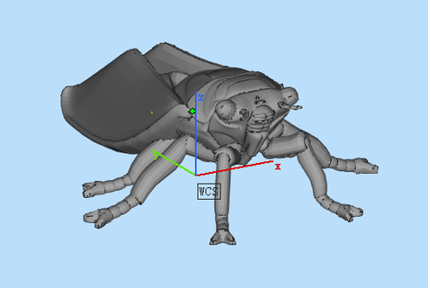 cicada Insects 3d print model - Mito3D