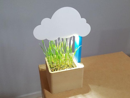 nube flor maceta naturaleza plantas 3d print model - Mito3D