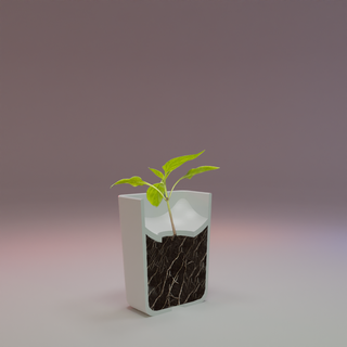 confined flower pot cactus desktop plant Flowers 3d print model - Mito3D