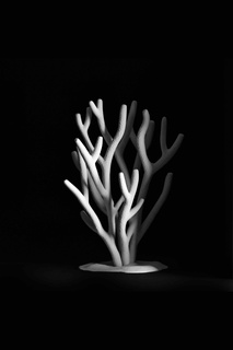 Koralle Stand Zuhause Haus Dekor 3d print model - Mito3D