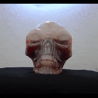 cristallo cranio bottiglia Alimenti 3d print model - Mito3D