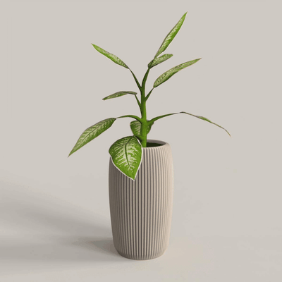 incurvé vase courber 3d modèles télécharger créalité nuage accueil maison décor 3d print model - Mito3D