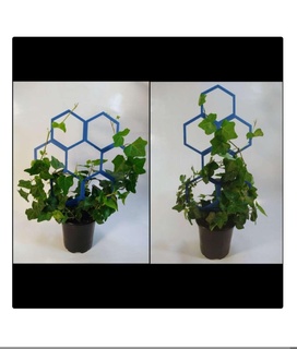 anpassbar modular Gitter Natur Pflanzen 3d print model - Mito3D