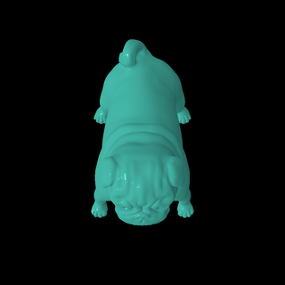 cute pug Mammal 3d print model - Mito3D