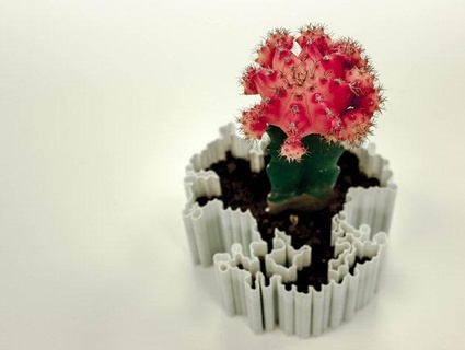 dendritas Nature & Plants 3d print model - Mito3D