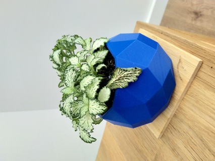 elmas geometrik vazo ev halkı 3d print model - Mito3D