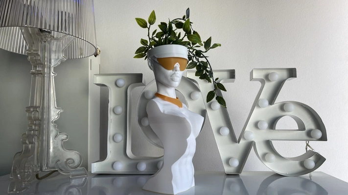 dina flower pot statue 3d models download creality cloud flowers 3d print model - Mito3D