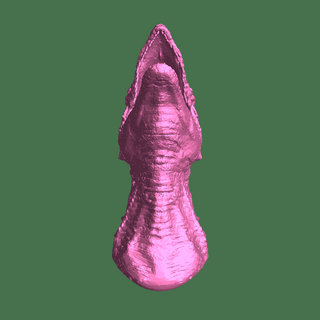 dinosaure tête 3d print model - Mito3D