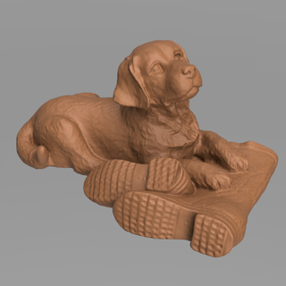 köpek bot ayakkabı Labrador memeli 3d print model - Mito3D