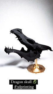 dragon skull Home Decor 3d print model - Mito3D