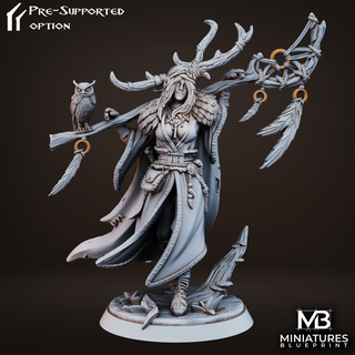 drelia elf druid Women 3d print model - Mito3D