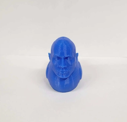 dwayne ente johnson 3d modelle download realität wolke 3d print model - Mito3D