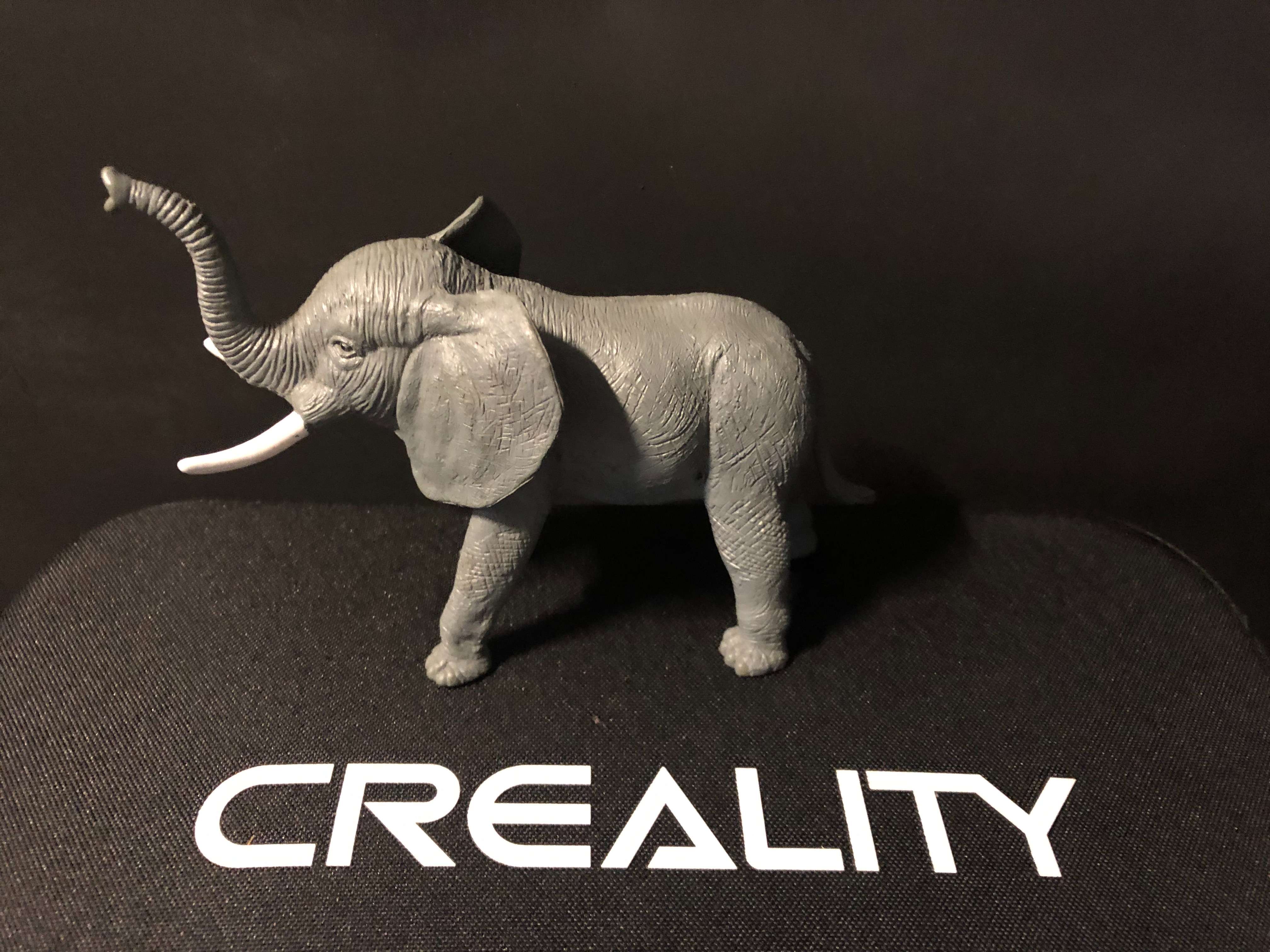 elly faunt Mammal 3D print model - Mito3D