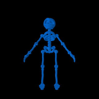 scheletro giocattoli Giochi 3d print model - Mito3D