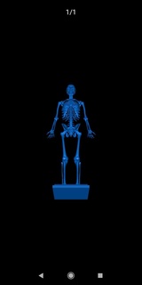 esqueleto biología médico 3d print model - Mito3D