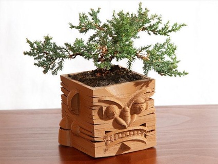 evil face planter Nature & Plants 3d print model - Mito3D