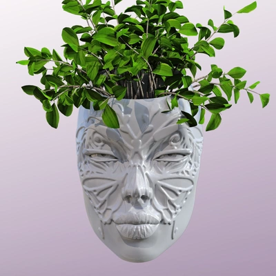 visage wall mount planteur papillon édition 3d modèles télécharger créalité nuage accueil maison décor 3d print model - Mito3D