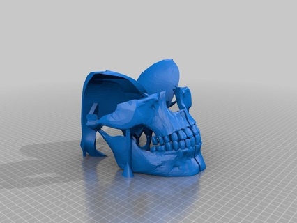 faced skull mask supports needed Others 3d print model - Mito3D
