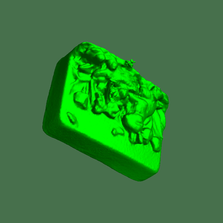 fantasia sapone scansione natura impianti 3d print model - Mito3D