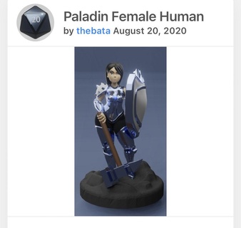 female paladin Toys & Games 3d print model - Mito3D