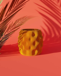 Feuer Vase Haushalt 3d print model - Mito3D