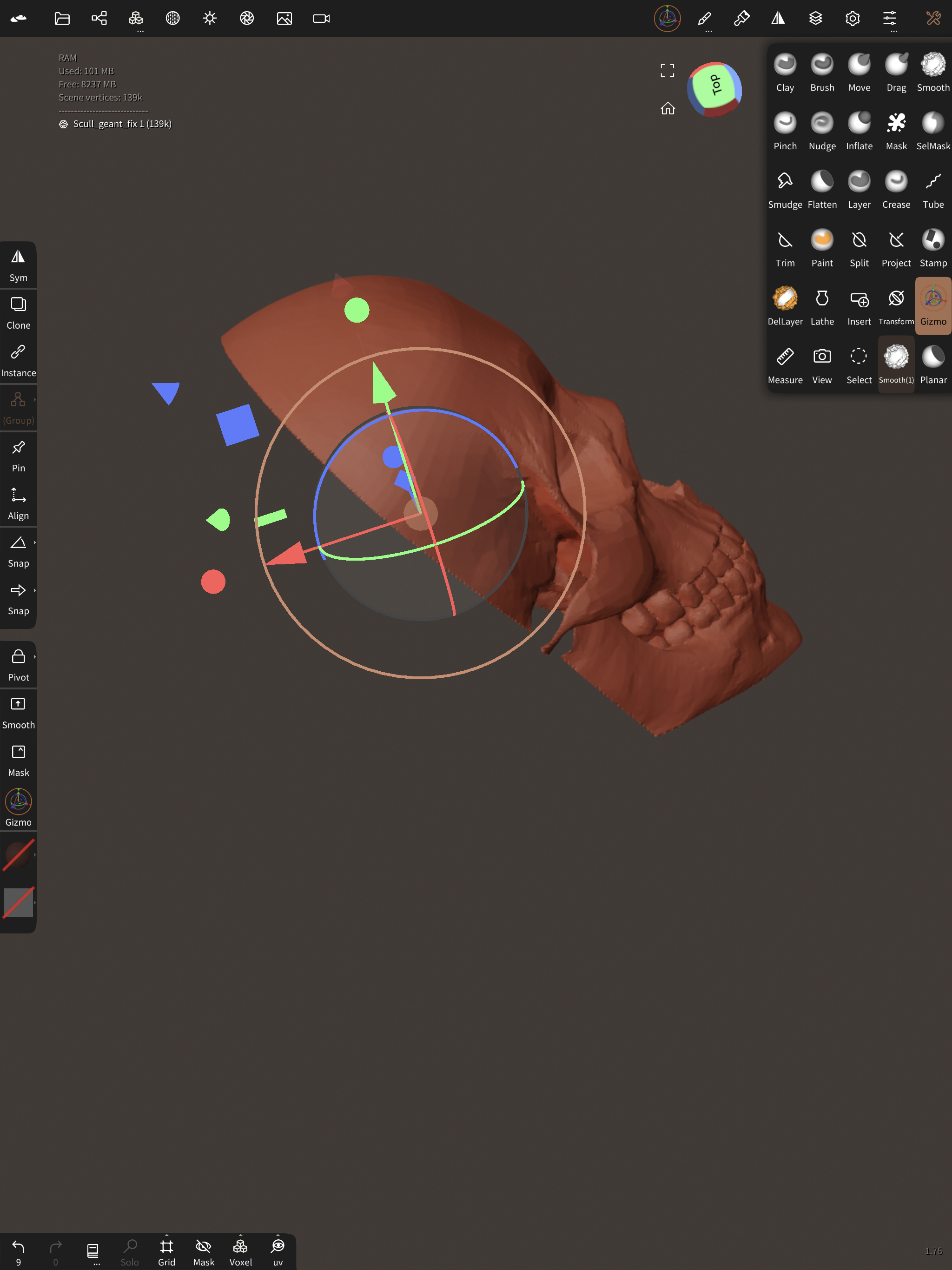 plano crânio biologia médico 3D print model - Mito3D
