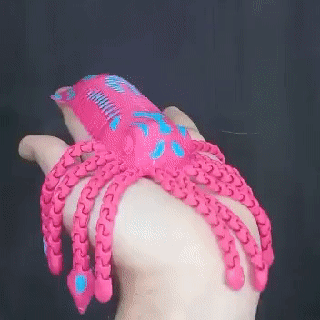 flessibile calamaro sculture culturale reliquie 3d print model - Mito3D