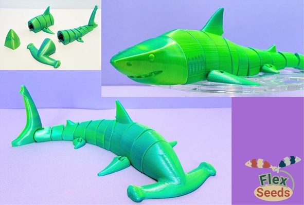 flexi shark & hammerhead set 3d models download creality cloud fishes 3d print model - Mito3D