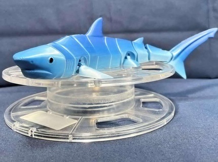 flexi tiburón 3d modelos descargar crealidad nube peces 3d print model - Mito3D