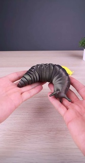 flexi slug Insects 3d print model - Mito3D