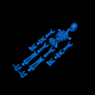 flexibel Skelett 3d print model - Mito3D