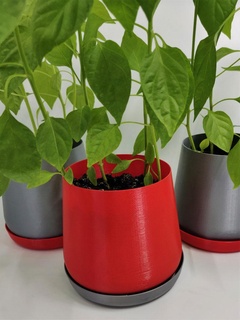 flower pot Nature & Plants 3d print model - Mito3D