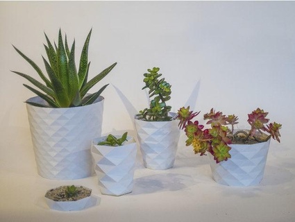 flor maceta naturaleza plantas 3d print model - Mito3D
