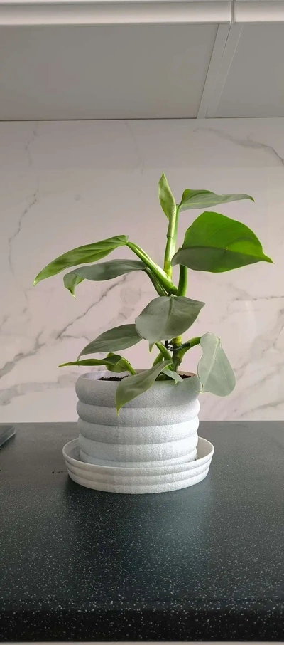 flower pot 160x130 3d models download creality cloud household 3d print model - Mito3D