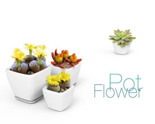 fleur pot 3d modèles télécharger créalité nuage 3d print model - Mito3D