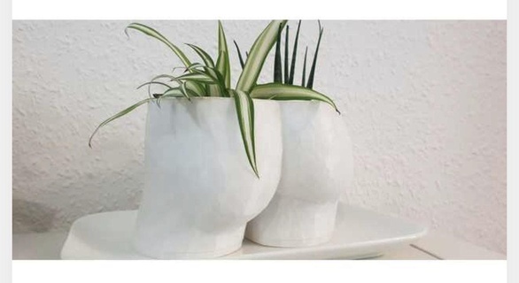 vaso flores masculino bunda natureza plantas 3d print model - Mito3D