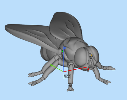 volare insetti 3d print model - Mito3D