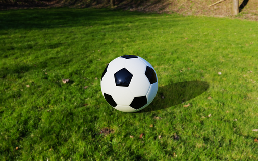 piede palla calcio all'aperto 3d print model - Mito3D