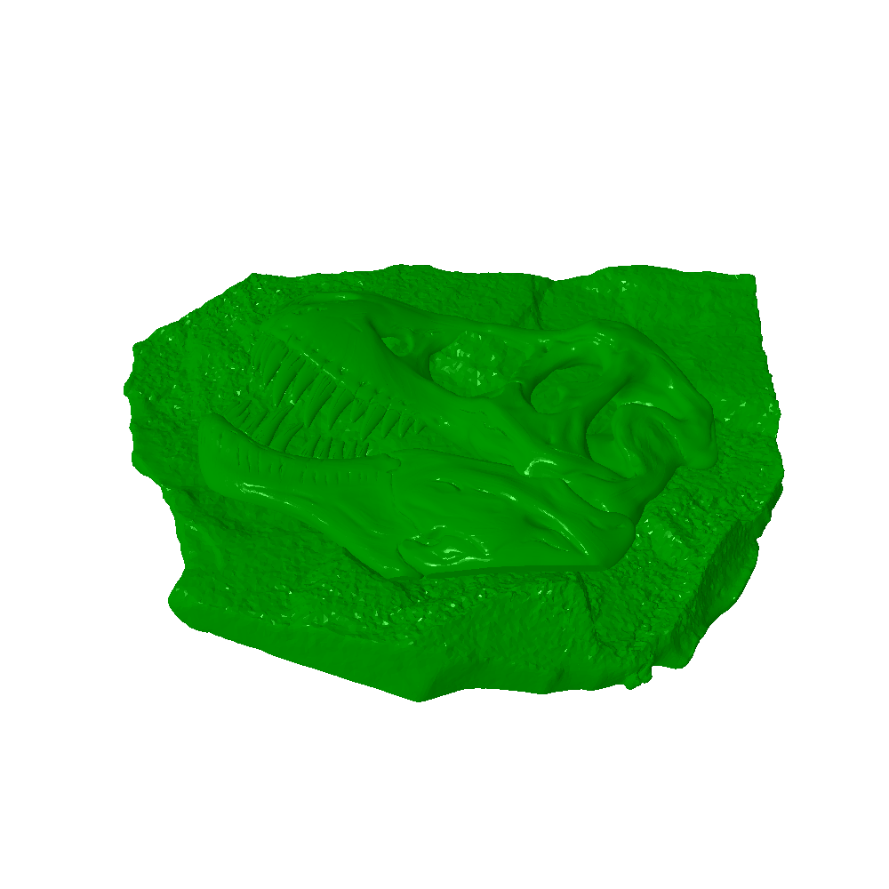 fosil kayalar 3D print model - Mito3D