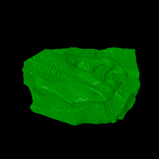 fósil rocas 3d print model - Mito3D