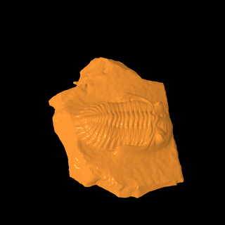 fossile rochers 3d print model - Mito3D