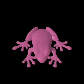 grenouille animaux 3d print model - Mito3D