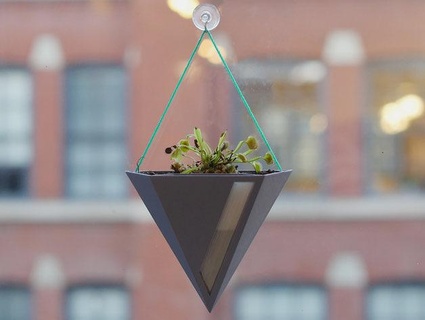 fuze hanging planter Nature & Plants 3d print model - Mito3D