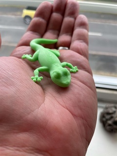 gecko geladeira magnético animais 3d print model - Mito3D