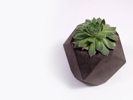 geometric planter Nature & Plants 3d print model - Mito3D