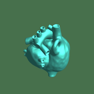 gotik kalp anahtarlık Biyoloji tıbbi 3d print model - Mito3D