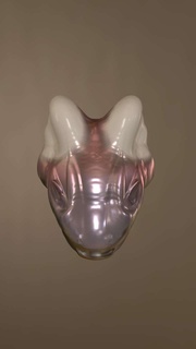 Gicht Kopf Tiere 3d print model - Mito3D