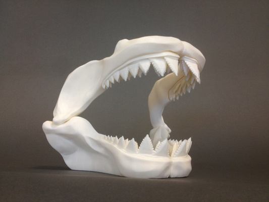 great white skull 3d models download creality cloud 3d print model - Mito3D
