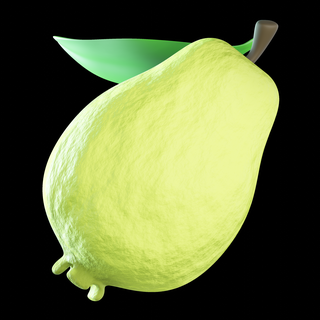 goyave fruit nourriture 3d print model - Mito3D